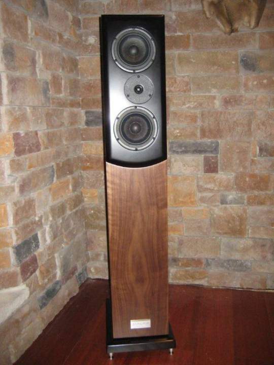 SongTower Curly Walnut