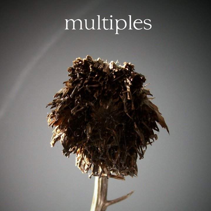 Multiples-albumcover