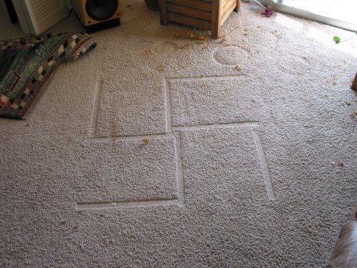 When moving some planters in Tysons living room Mike and I discovered a horrifying secret.

Seriously the way Tyson's planters were arranged left this strange indentation in his carpet. : )