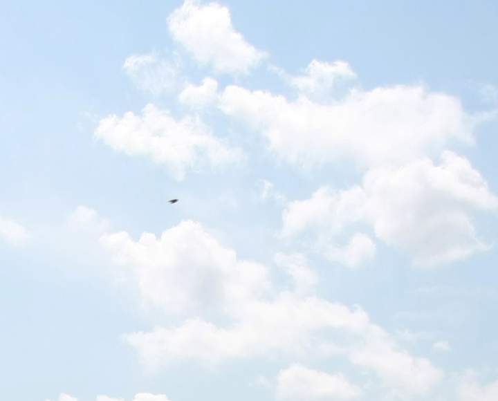 IMG 2456 copy 2