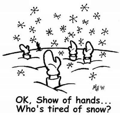 Blizzard 11 c