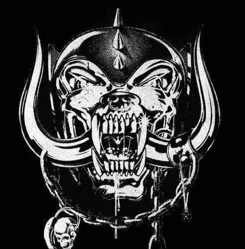 dogskull