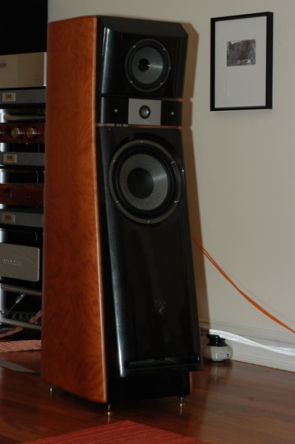Nice speaker