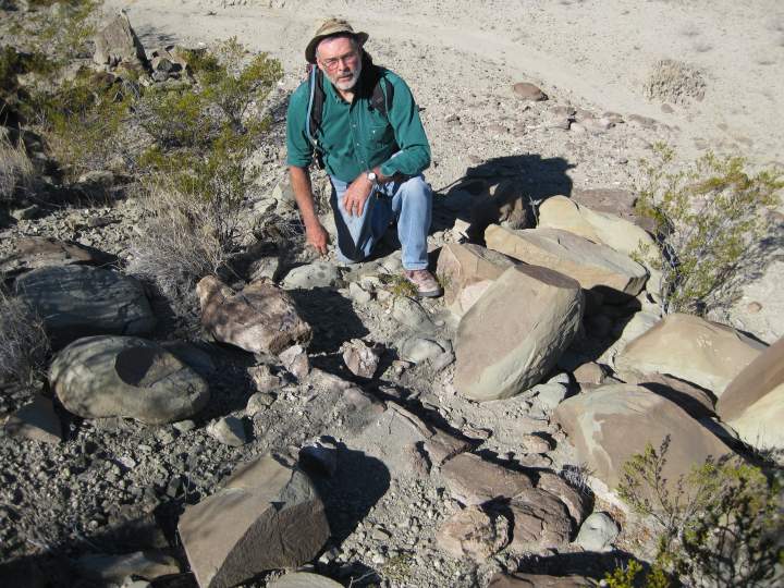 Dinosaur Femur in Big Bend National Park