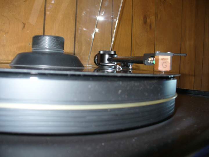 (Untitled)