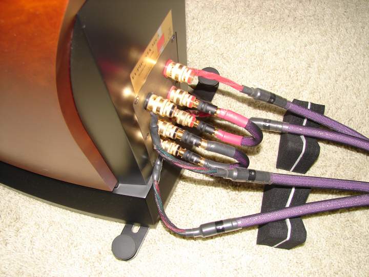 Dali speakers are Tri-Wire. Harmonic Technology Magic Woofer Reference on woofer posts. Harmonic Technology Magic Tweeter Reference on tweeter posts. Harmonic Technology Magic Reference Jumpers on midrange posts.