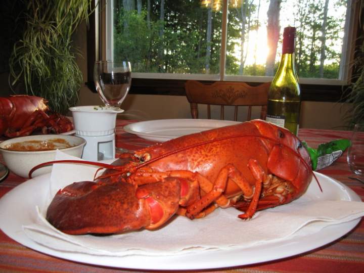 LOBSTER