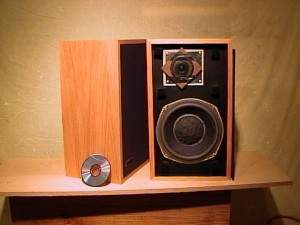 smaller-advent-speaker-300x 225