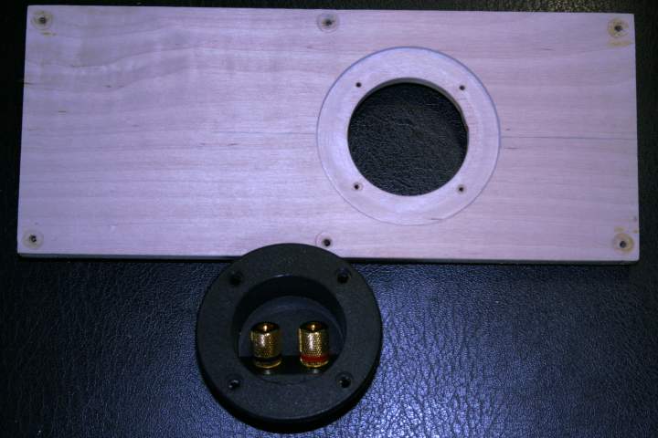 Back Panel