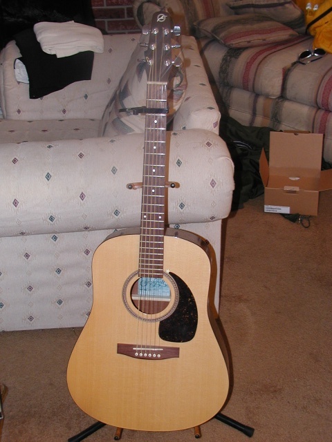 Seagull SM6 spruce top guitar. Great sound and cheap.