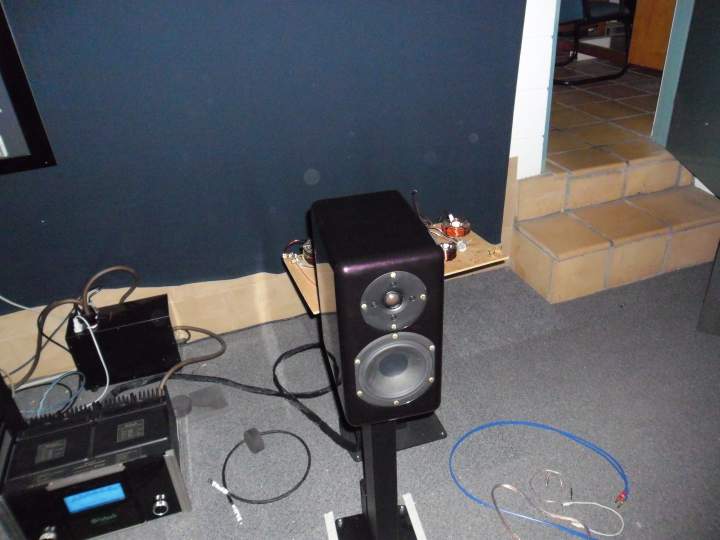 The Other ML1 While Auditioning New PDX