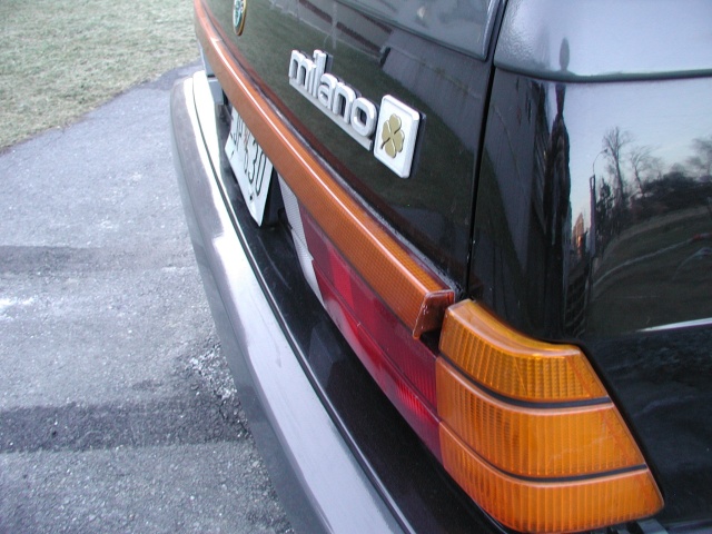 rear trunk trim