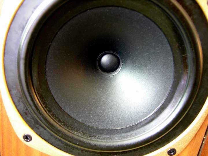 Tannoy M20 Gold Mk2 pic6