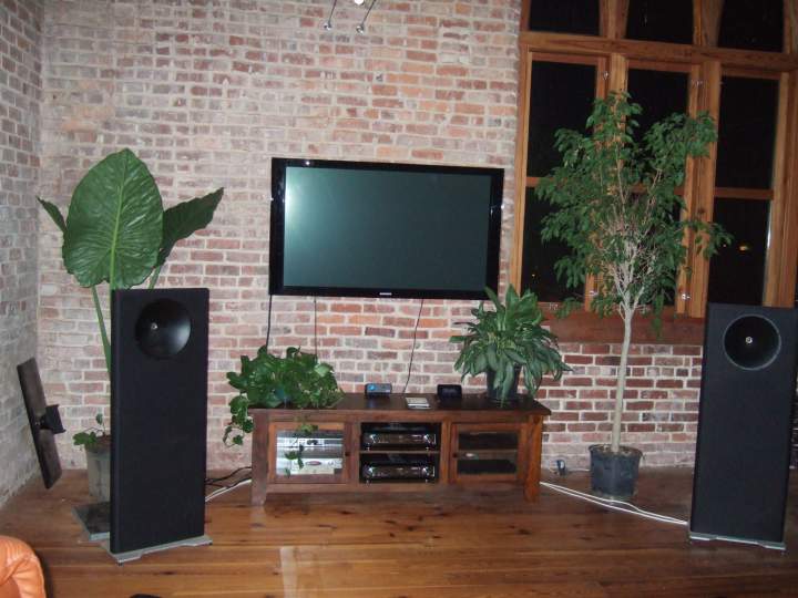 1st View of Living Room with Plants
