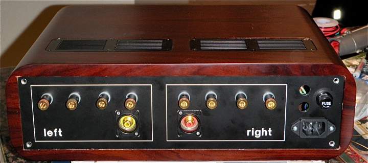 Assembled Amp Back