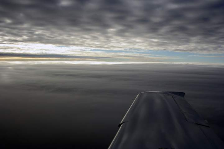 (Untitled)