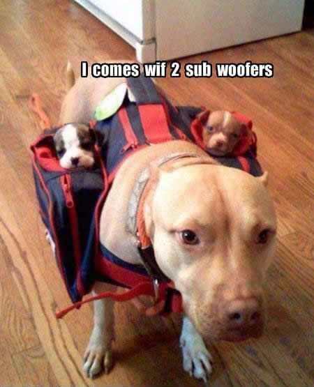 subwoofers