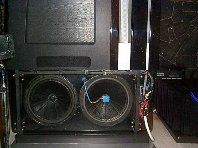 Subwoofer bases designed by Dan D'Agostino, using two servo-controlled 12