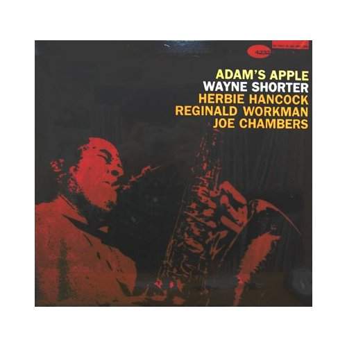 Adam's Apple