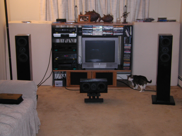Here is a closeup of the front 3 speakers. It took about 10 days of work, working 8 hours a day to build this system. The cat was not included in the kit.