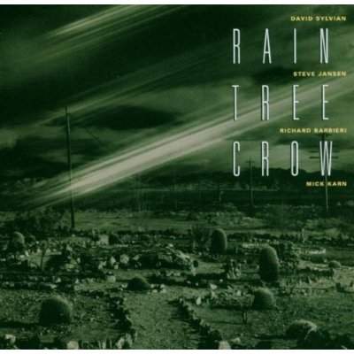 Rain Tree Crow