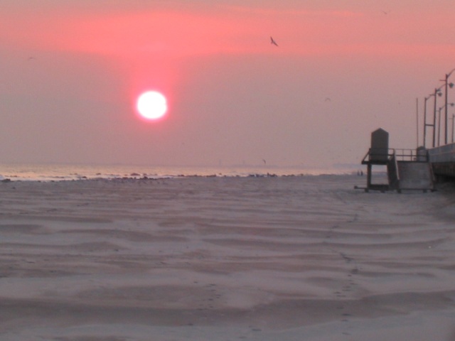 Feb 2005