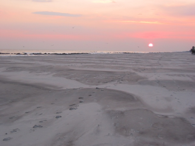 Feb 2005