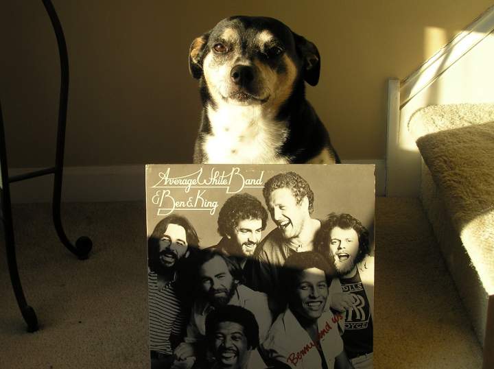 Benny and Us