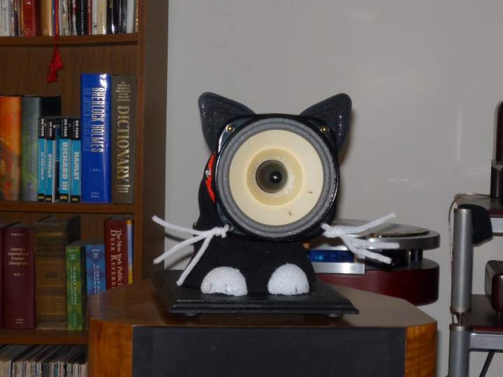 New Kitties from listening spot