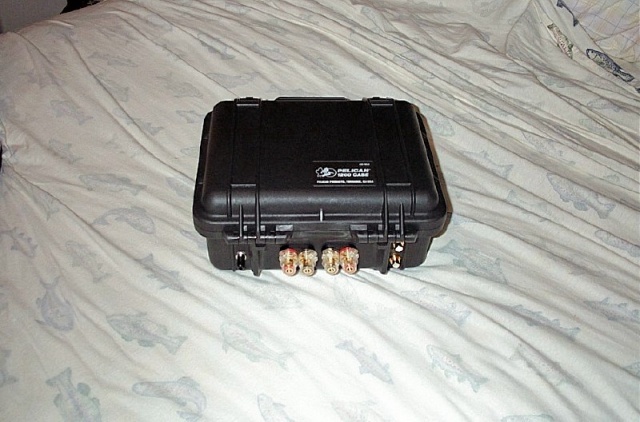 another rear view
