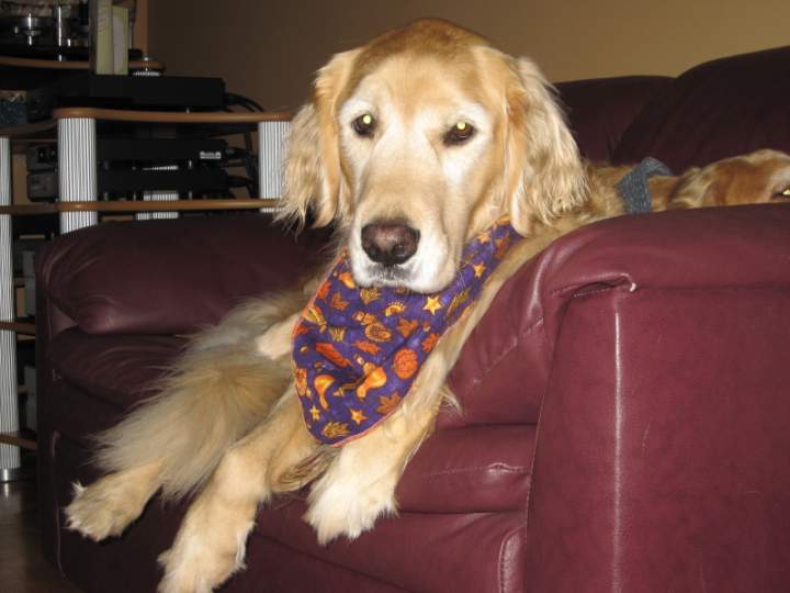 Zoey