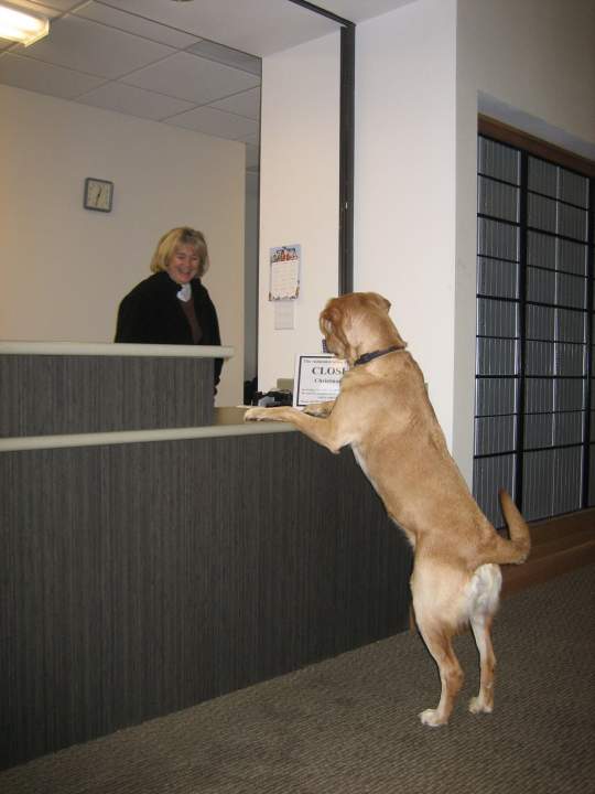 Lucy at Post Office