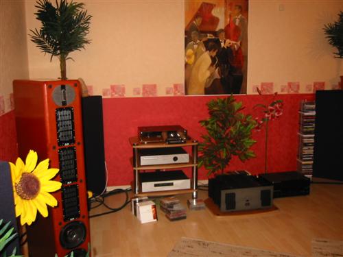 These are my VMPS RM30 speakers. Truly great speakers too.