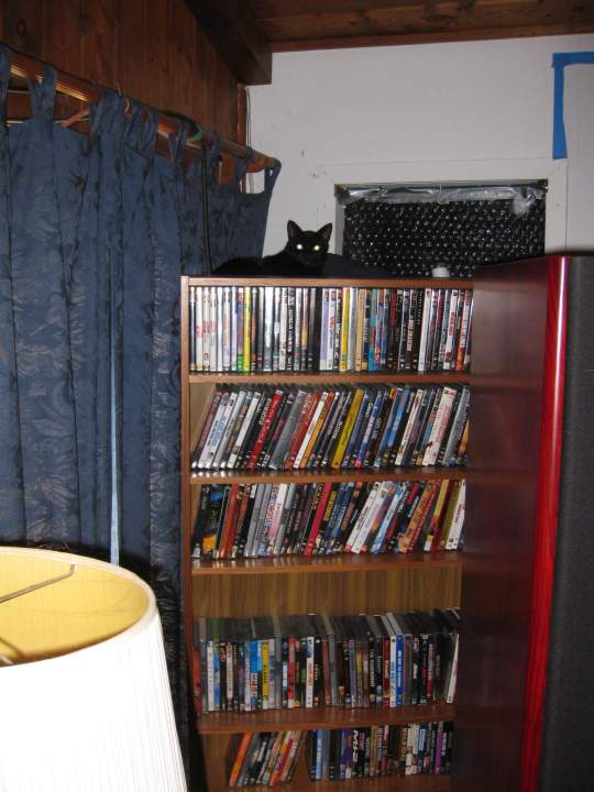 (Untitled)