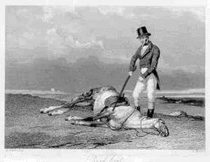 Beat Dead Horse 2