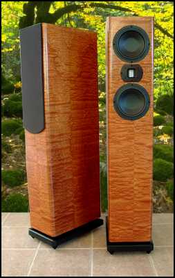 Salk Sound EXT