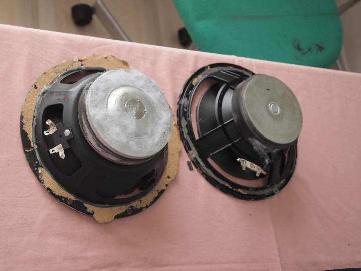 speakers rear