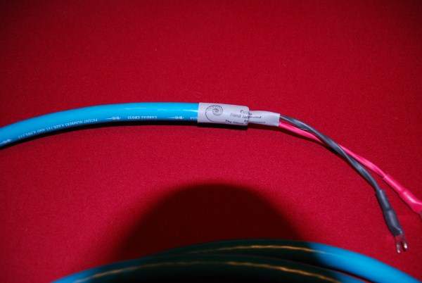 DSC  (600 x 402)
