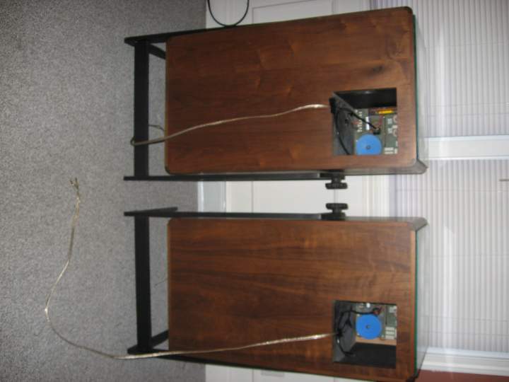 (Untitled)