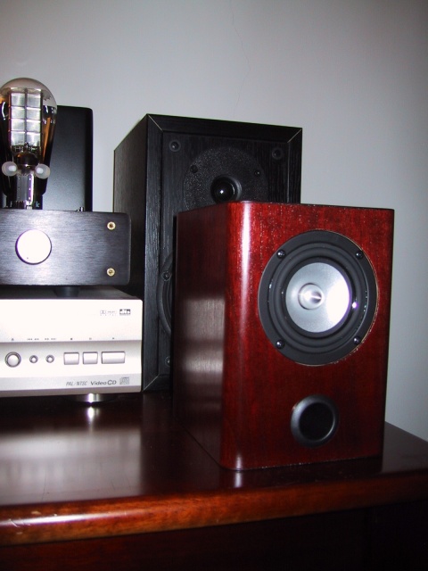 Micros will go in the bedroom, powered by Radii 300B tube amp