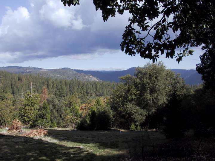 View from deck