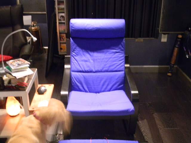 (Untitled)