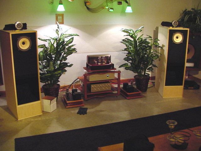 The Fleapowered System with Blackmores Yamamoto