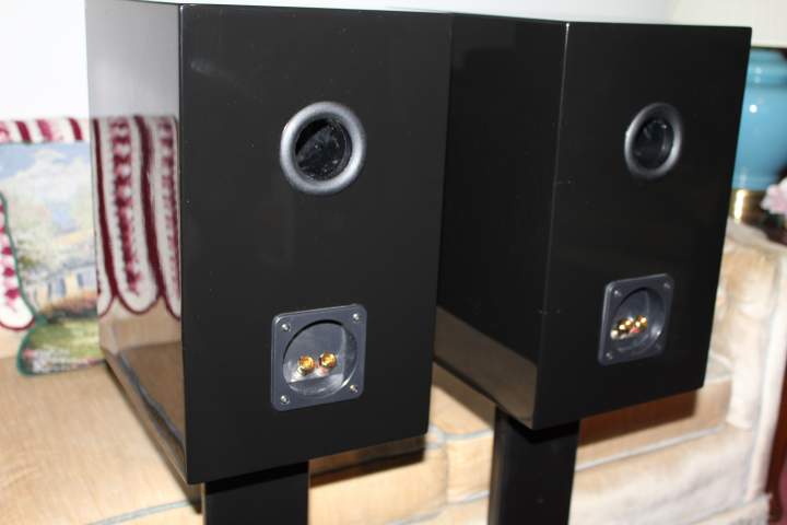 AV-123 X-LS Encore Rear view showing vent and input terminal cups.