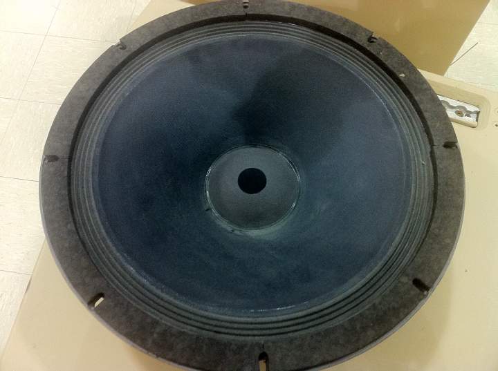 bass driver cone