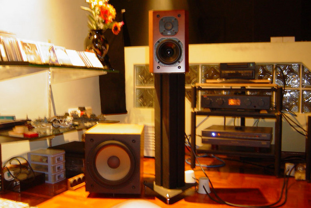 Before the LSi-15, i owned a pair of JM Lab Micron Carat supplemented by Kinergetics active subwoofer system.