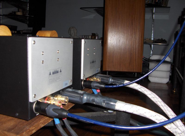 All the connectors are placed close to each other. I would prefer the binding posts to be located higher to clear the racks.