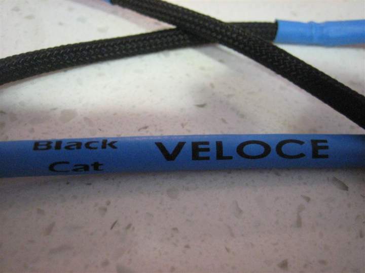 IMG 3852 (Medium)