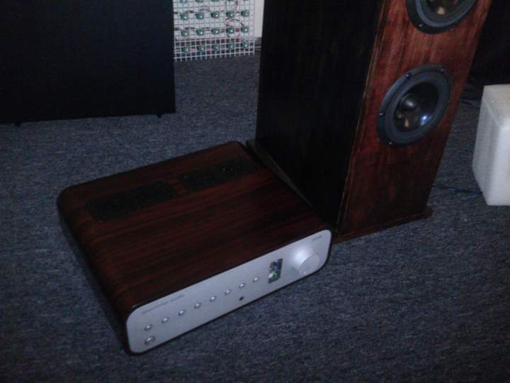 Rosewood Peachtree Audio Nova next to constructed OB-5 Inspired tower. Matched wood