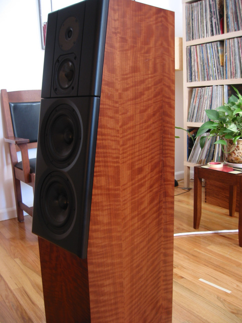 Meadowlark Heron "i" (figured Makore veneer, an $800 upgrade)